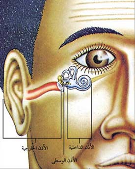 الأذن